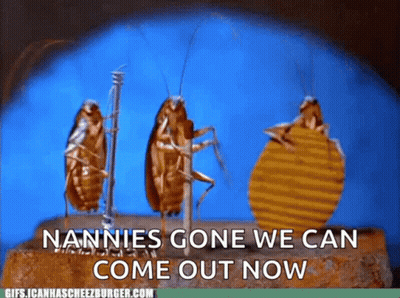 A Group Of Cockroaches Standing Next To Each Other With The Words Nannies Gone We Can Come Out Now GIF