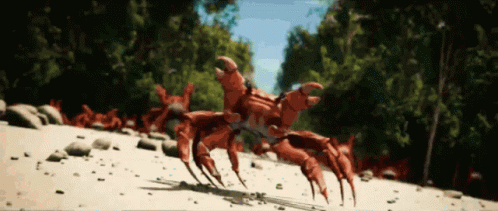 A Group Of Crabs Are Walking On A Beach GIF