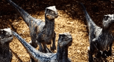 A Group Of Dinosaurs Standing Next To Each Other On The Ground GIF