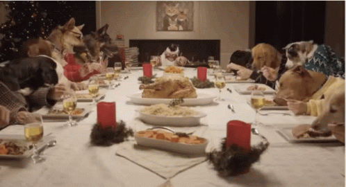 A Group Of Dogs And Cats Are Sitting At A Long Table Eating GIF