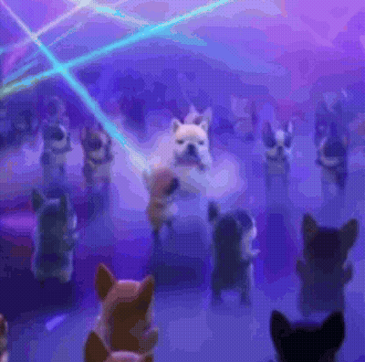 A Group Of Dogs Are Dancing In A Room With Purple Lights GIF