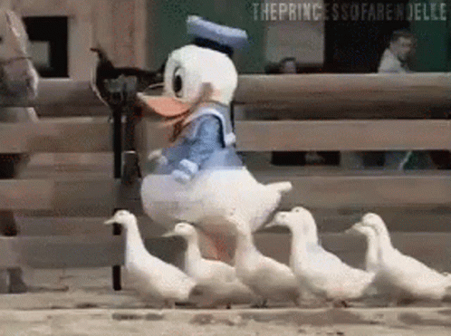 A Group Of Ducks Are Walking In A Line With Donald Duck In The Middle . GIF
