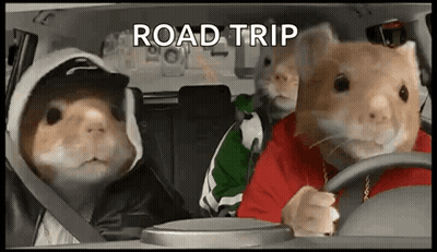 A Group Of Hamsters Are Sitting In A Car With The Words Road Trip Written On The Screen . GIF