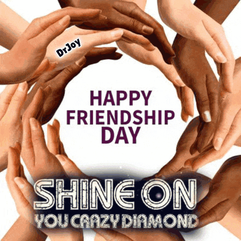 A Group Of Hands Making A Circle With The Words Happy Friendship Day Shine On Your Crazy Diamond GIF