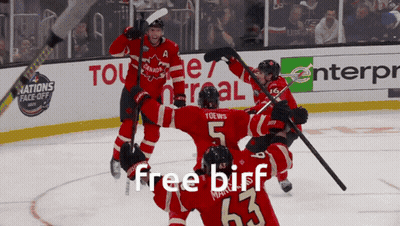 A Group Of Hockey Players Celebrate A Goal With The Words Free Birf On The Bottom Right GIF