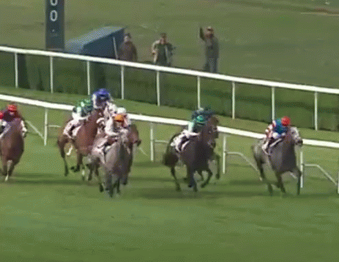 A Group Of Horses Are Racing Down A Track GIF
