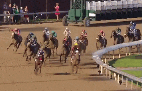 A Group Of Horses Are Racing On A Dirt Track And One Of The Horses Is Wearing A Blue Shirt With The Number 11 On It GIF