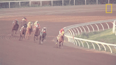 A Group Of Horses Are Racing On A Dirt Track With A National Geographic Logo In The Corner GIF