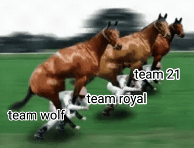 A Group Of Horses Are Racing On A Grassy Field And One Of Them Is Being Attacked By A Dog . GIF