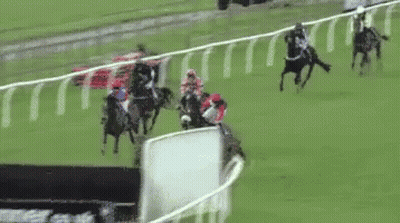A Group Of Horses Are Racing On A Race Track . GIF