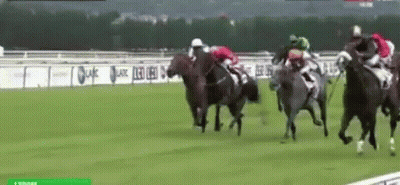 A Group Of Horses Are Racing On A Track With A Banner Behind Them That Says Allianz GIF