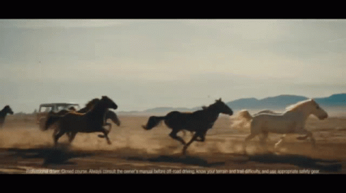 A Group Of Horses Are Running In A Field With A Jeep In The Background And A Warning About Off Road Driving GIF