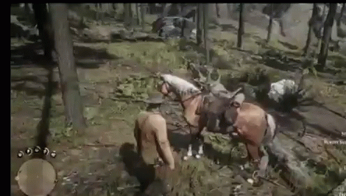 A Group Of Horses Are Standing In The Middle Of A Forest . GIF