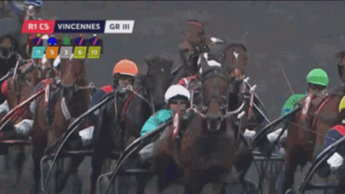 A Group Of Horses Racing In Front Of A Case A Sign GIF