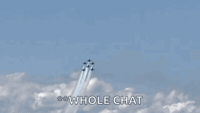 A Group Of Jets Are Flying Through A Blue Sky With Smoke Trails And The Words Whole Chat Below Them GIF