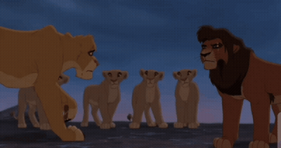 A Group Of Lion Cubs Standing Next To Each Other With One Cub Looking Up At The Sky GIF