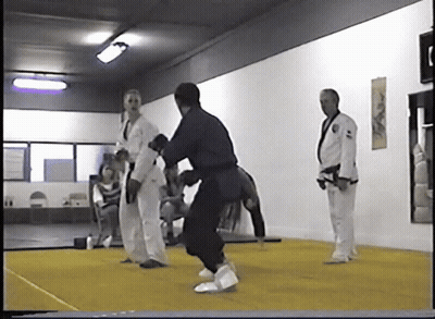 A Group Of Martial Arts Fighters Are Standing On A Mat GIF