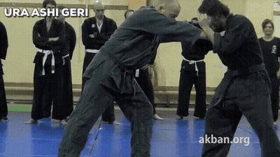 A Group Of Men Are Practicing Martial Arts With Ura Ashi Geri Written On The Bottom Right GIF