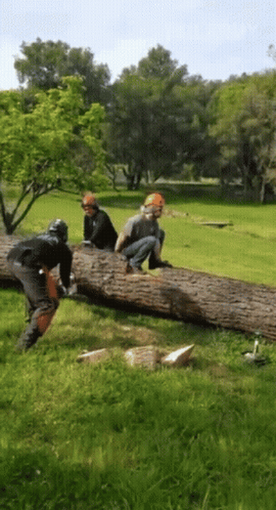 A Group Of Men Are Working On A Large Log In A Field GIF