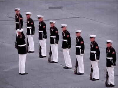A Group Of Men In Military Uniforms Are Standing In A Row . GIF