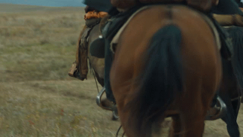 A Group Of Men Riding Horses In A Field GIF