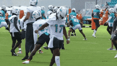A Group Of Miami Dolphins Football Players Are Practicing On The Field GIF