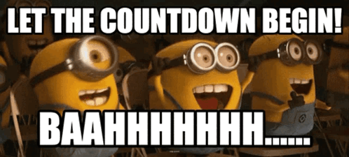 A Group Of Minions With The Words Let The Countdown Begin GIF