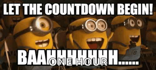 Final Day GIFs