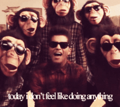 A Group Of Monkeys Are Posing For A Picture With A Man In Sunglasses GIF