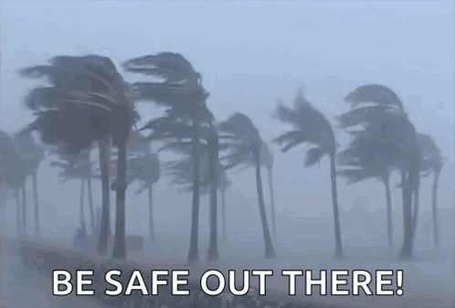 A Group Of Palm Trees Blowing In The Wind With The Words `` Be Safe Out There '' Written In The Foreground . GIF