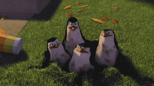 A Group Of Penguins Are Standing In The Grass With The Words Mission Accomplished Written Below Them GIF