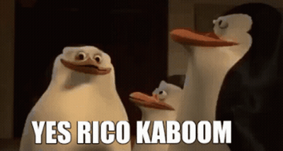 A Group Of Penguins From Madagascar Are Standing Next To Each Other And Talking . GIF