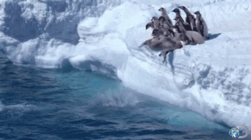A Group Of Penguins Sitting On Top Of A Snow Covered Iceberg GIF