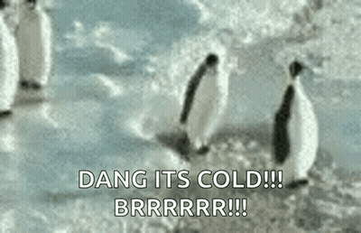 A Group Of Penguins Standing On Top Of A Snow Covered Field With The Words `` Dang Its Cold ! '' GIF
