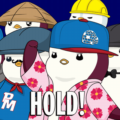 A Group Of Penguins Wearing Hats And A Shirt That Says Rm Hold GIF