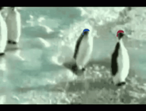 A Group Of Penguins Wearing Santa Hats Are Walking In The Snow GIF