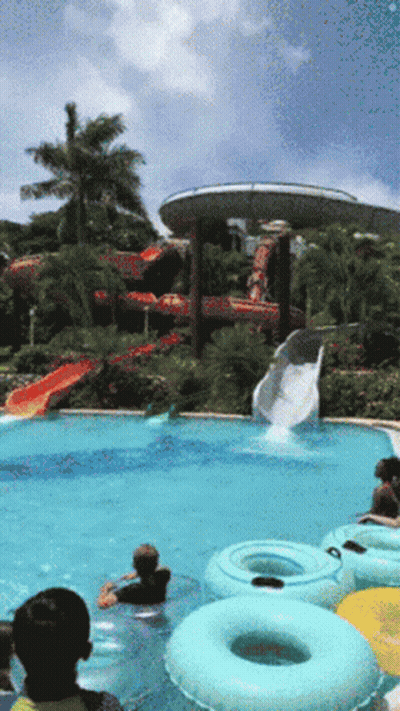A Group Of People Are Playing In A Swimming Pool With A Water Slide In The Background GIF