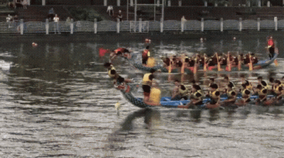 A Group Of People Are Rowing Boats On A Lake GIF
