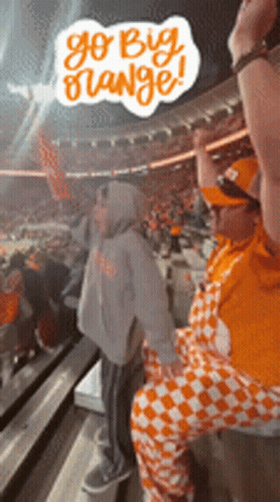 A Group Of People Are Sitting In A Stadium Watching A Football Game And One Of Them Is Wearing Orange Pants . GIF