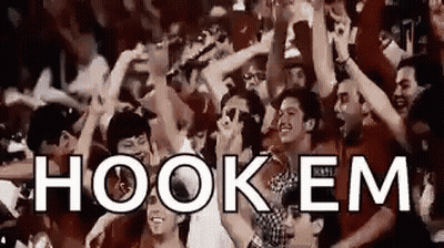 A Group Of People Are Standing In A Crowd With Their Hands In The Air And The Words Hook Em Written On The Screen . GIF