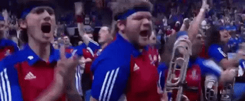 A Group Of People Are Standing In A Stadium Watching A Game And Cheering . GIF