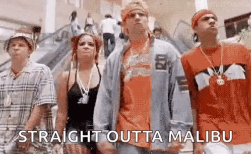 A Group Of People Are Standing Next To Each Other In A Shopping Mall And A Man Is Saying `` Straight Outta Malibu '' . GIF