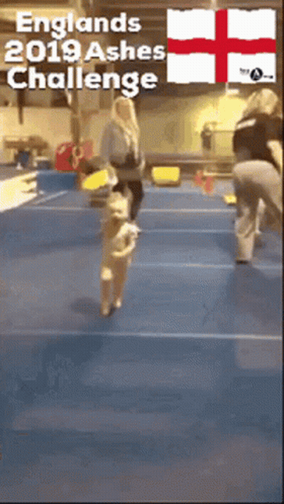 A Group Of People Are Standing On A Blue Floor . GIF