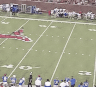 A Group Of People Are Standing On A Football Field Watching A Game Being Played . GIF