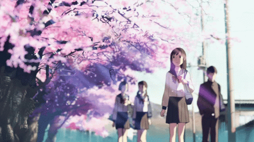 A Group Of People Are Walking Down A Street With Cherry Blossom Trees In The Background GIF