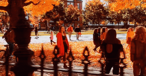A Group Of People Are Walking In A Park With Trees Covered In Orange Leaves . GIF