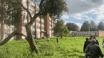 A Group Of People Are Walking Through A Grassy Field With A Building In The Background GIF