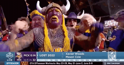 A Group Of People Dressed As Vikings Are Cheering At A Football Game GIF