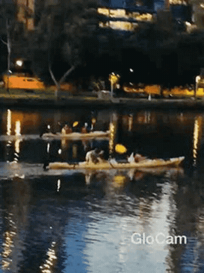 A Group Of People In Kayaks On A Body Of Water With The Word Glocam In The Corner GIF