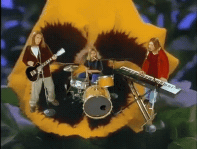 A Group Of People Playing Instruments In Front Of A Large Flower . GIF
